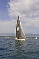 Bol d'or 2006